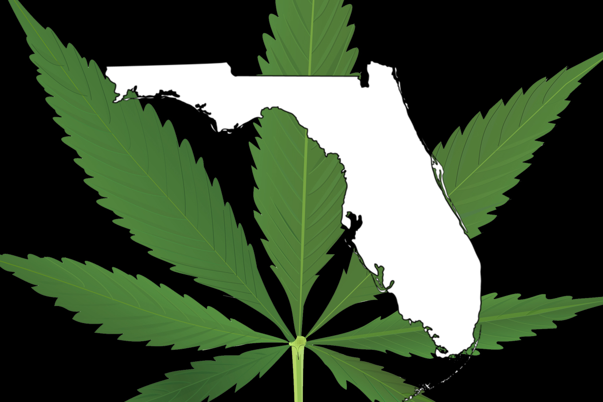 Florida Voters Speak, Vote "No" To Amendment 2 Newstalk Florida N